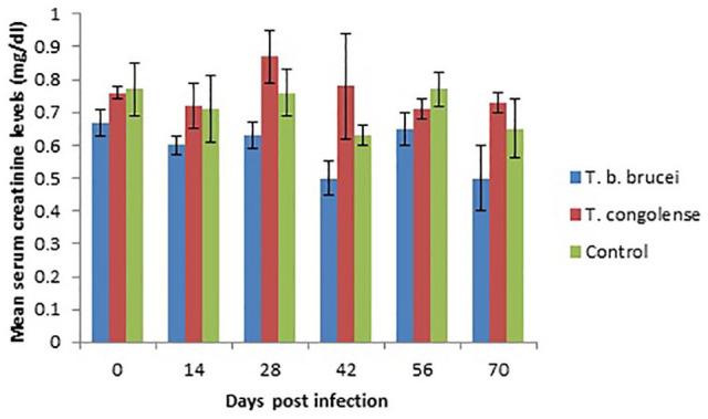 https://cdn.ncbi.nlm.nih.gov/pmc/blobs/40e1/7446258/43dca950bad0/10.1177_2632010X20938389-fig12.jpg