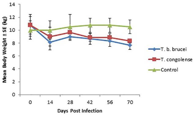 https://cdn.ncbi.nlm.nih.gov/pmc/blobs/40e1/7446258/74e1f556ec90/10.1177_2632010X20938389-fig1.jpg