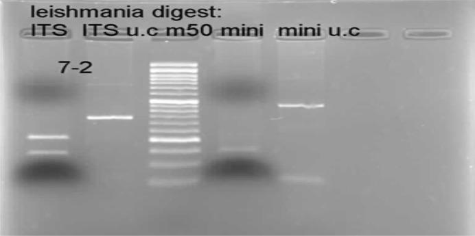 https://cdn.ncbi.nlm.nih.gov/pmc/blobs/40e4/10597884/38750be52c6d/IJPA-18-331-g001.jpg