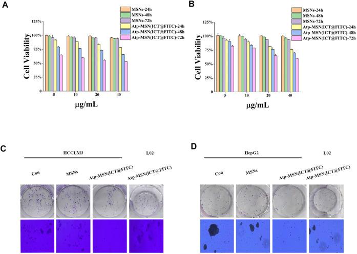 https://cdn.ncbi.nlm.nih.gov/pmc/blobs/40ea/9947157/02b1613e67ab/fphar-14-1117052-g003.jpg