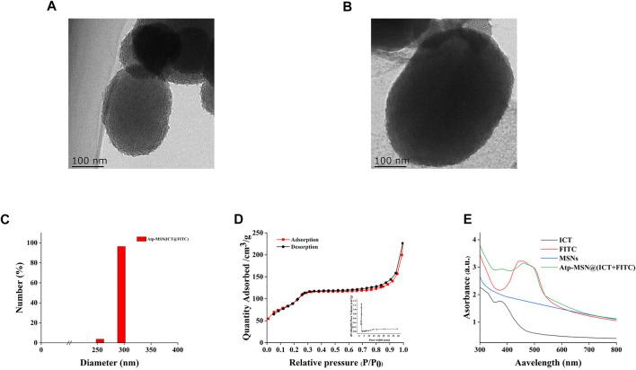 https://cdn.ncbi.nlm.nih.gov/pmc/blobs/40ea/9947157/c5c9da4e657a/fphar-14-1117052-g001.jpg