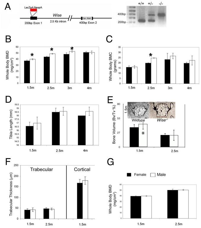 https://cdn.ncbi.nlm.nih.gov/pmc/blobs/40eb/4006890/e3cab2aa6fbf/pone.0096257.g001.jpg