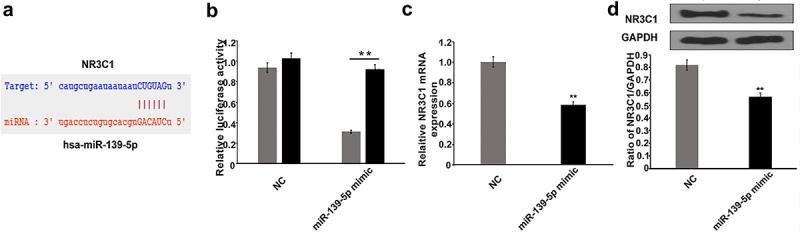 https://cdn.ncbi.nlm.nih.gov/pmc/blobs/40eb/9276025/2c0908eff8da/KBIE_A_2059937_F0005_OC.jpg