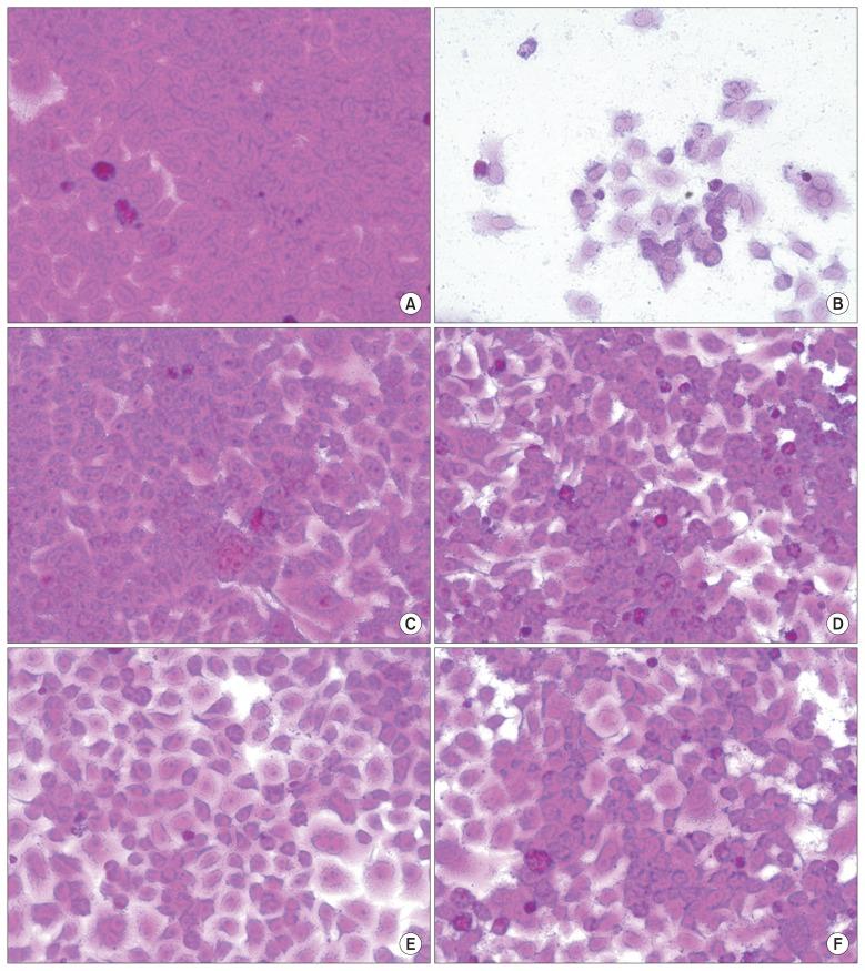https://cdn.ncbi.nlm.nih.gov/pmc/blobs/40ed/5749483/4ad7c4af4497/phrp-08-415f3.jpg