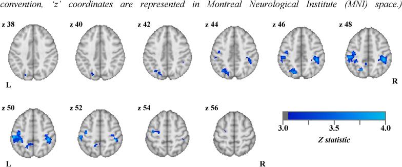 https://cdn.ncbi.nlm.nih.gov/pmc/blobs/40f0/11427764/aca1df464fc0/gr2.jpg