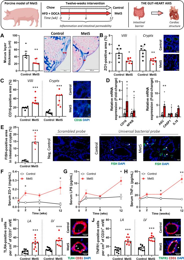 https://cdn.ncbi.nlm.nih.gov/pmc/blobs/40f0/11788474/51d7621ee8ab/gr1.jpg