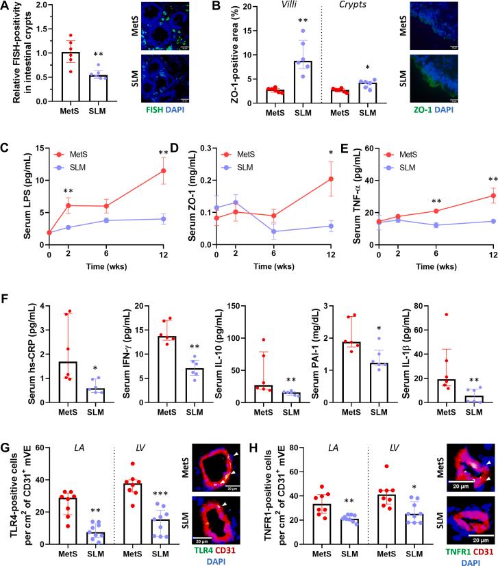 https://cdn.ncbi.nlm.nih.gov/pmc/blobs/40f0/11788474/8f340be6e34d/gr4.jpg