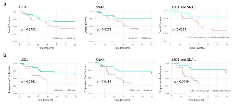 https://cdn.ncbi.nlm.nih.gov/pmc/blobs/40f1/9100259/38ceea8c7254/ijms-23-05075-g005.jpg
