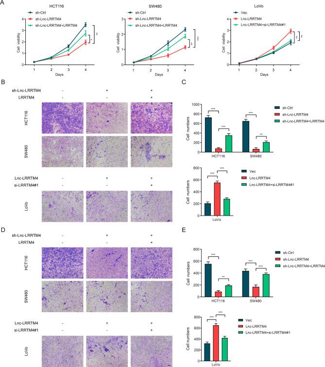 https://cdn.ncbi.nlm.nih.gov/pmc/blobs/40f3/10357798/220c38d1aa64/12935_2023_2986_Fig6_HTML.jpg