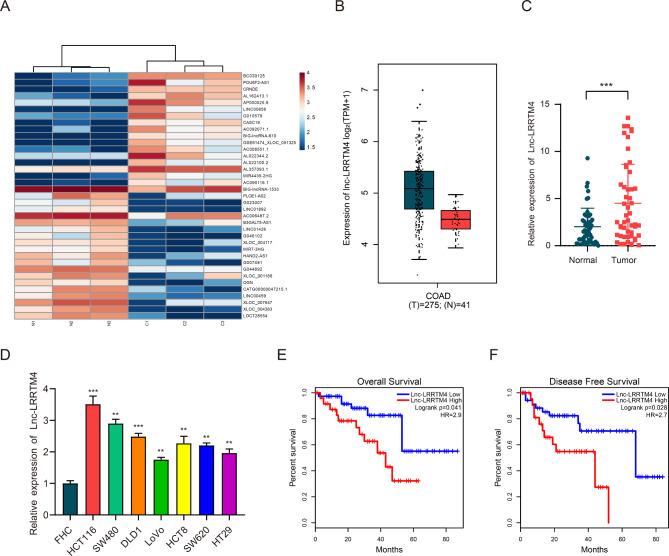 https://cdn.ncbi.nlm.nih.gov/pmc/blobs/40f3/10357798/8db522b56d3f/12935_2023_2986_Fig1_HTML.jpg