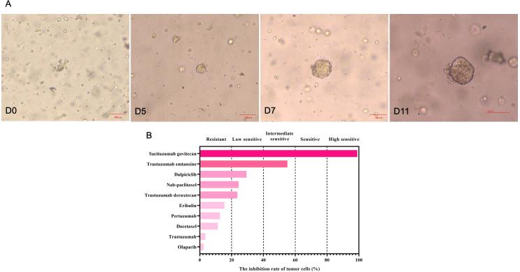 https://cdn.ncbi.nlm.nih.gov/pmc/blobs/40f4/12343211/3de1c6bba98e/fonc-15-1629690-g002.jpg