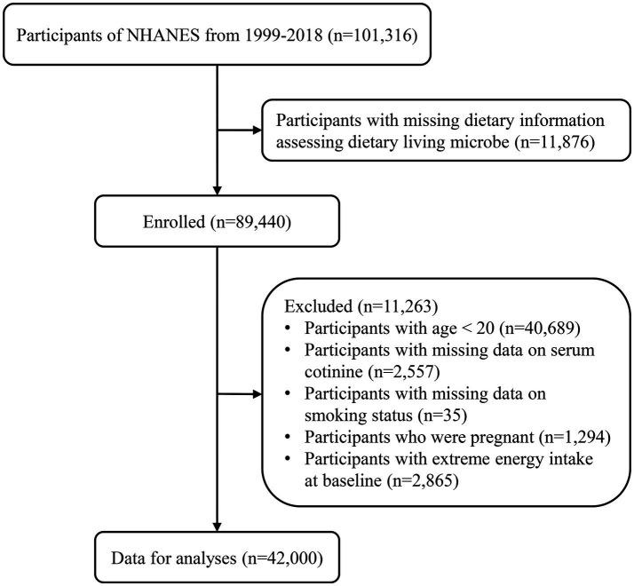 https://cdn.ncbi.nlm.nih.gov/pmc/blobs/40f5/11165358/59306bce3412/fnut-11-1405539-g001.jpg