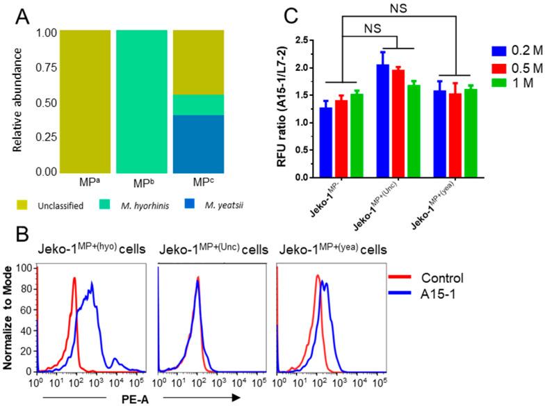 https://cdn.ncbi.nlm.nih.gov/pmc/blobs/40f6/7312096/16c52b106e63/ijms-21-03784-g003.jpg
