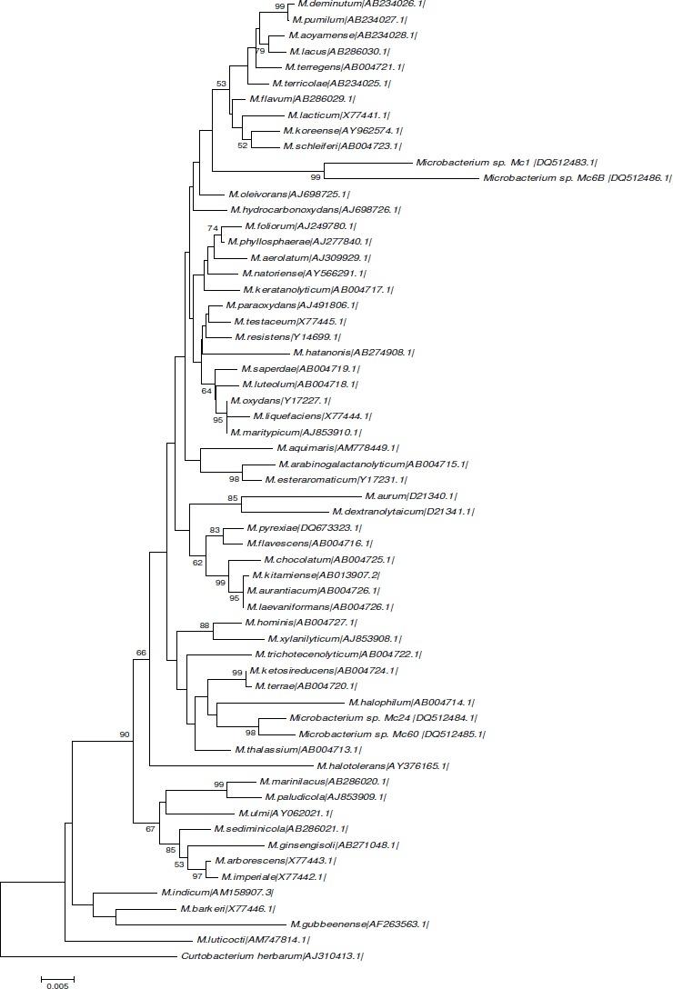 https://cdn.ncbi.nlm.nih.gov/pmc/blobs/40f8/3768605/090aab793e91/bjm-41-235-f2.jpg