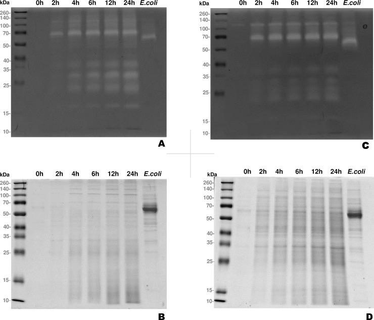 https://cdn.ncbi.nlm.nih.gov/pmc/blobs/40f8/6391000/f5cf9f2d1544/pone.0212429.g002.jpg