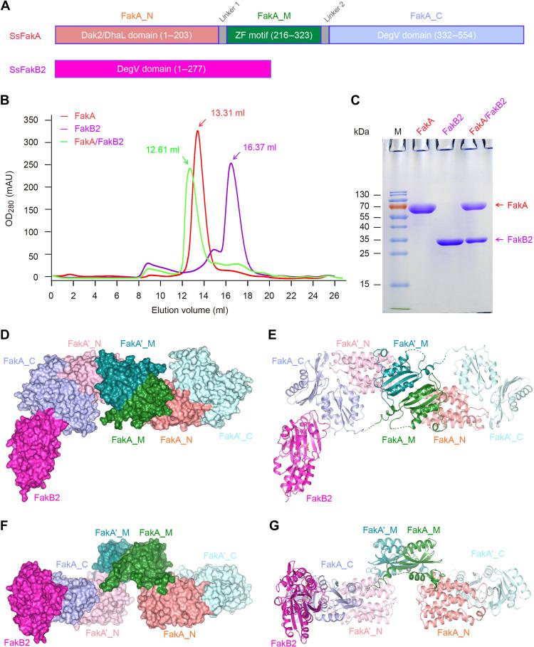https://cdn.ncbi.nlm.nih.gov/pmc/blobs/40fb/10848957/4239b7a0d6a3/sciadv.abq3944-f3.jpg