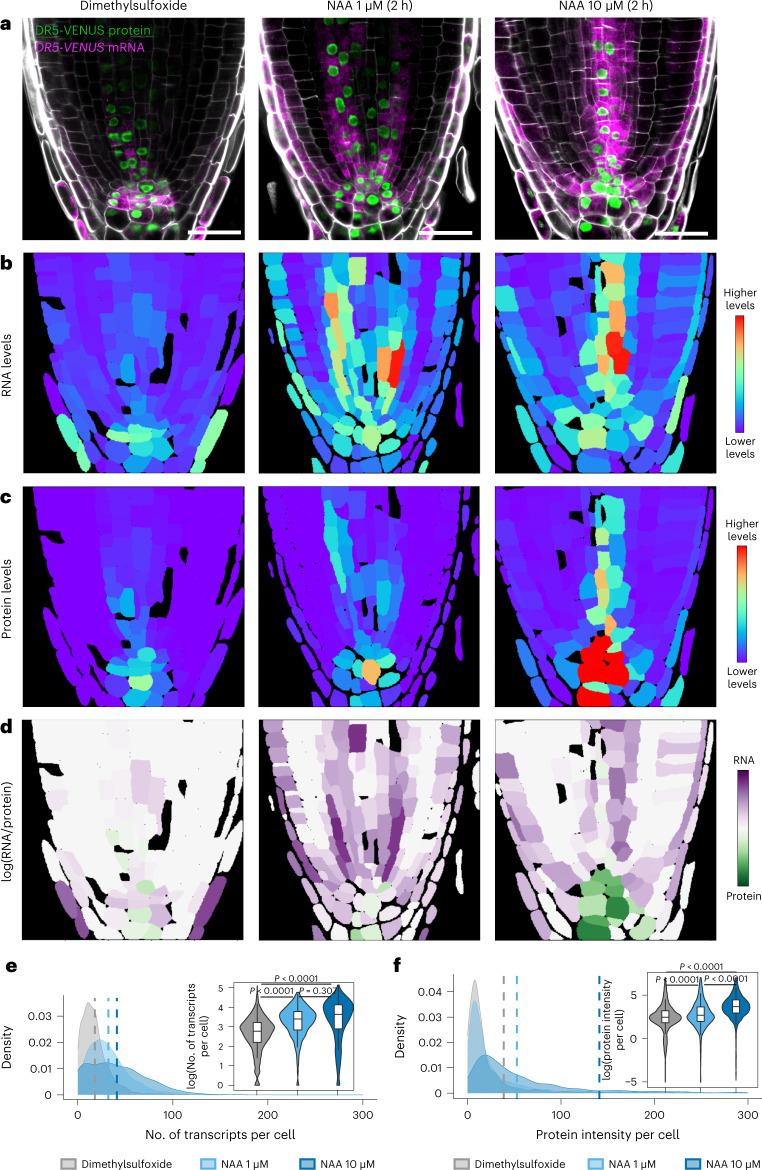 https://cdn.ncbi.nlm.nih.gov/pmc/blobs/40fc/10356603/fe2bb39002f1/41477_2023_1442_Fig3_HTML.jpg