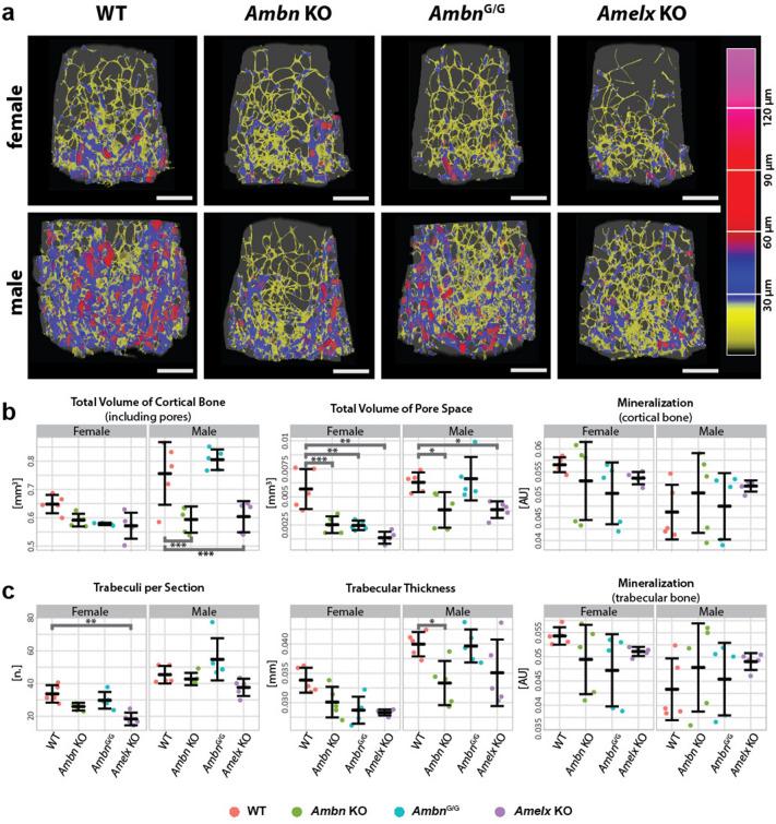 https://cdn.ncbi.nlm.nih.gov/pmc/blobs/40fc/9879986/50bd49201905/41598_2023_28388_Fig4_HTML.jpg