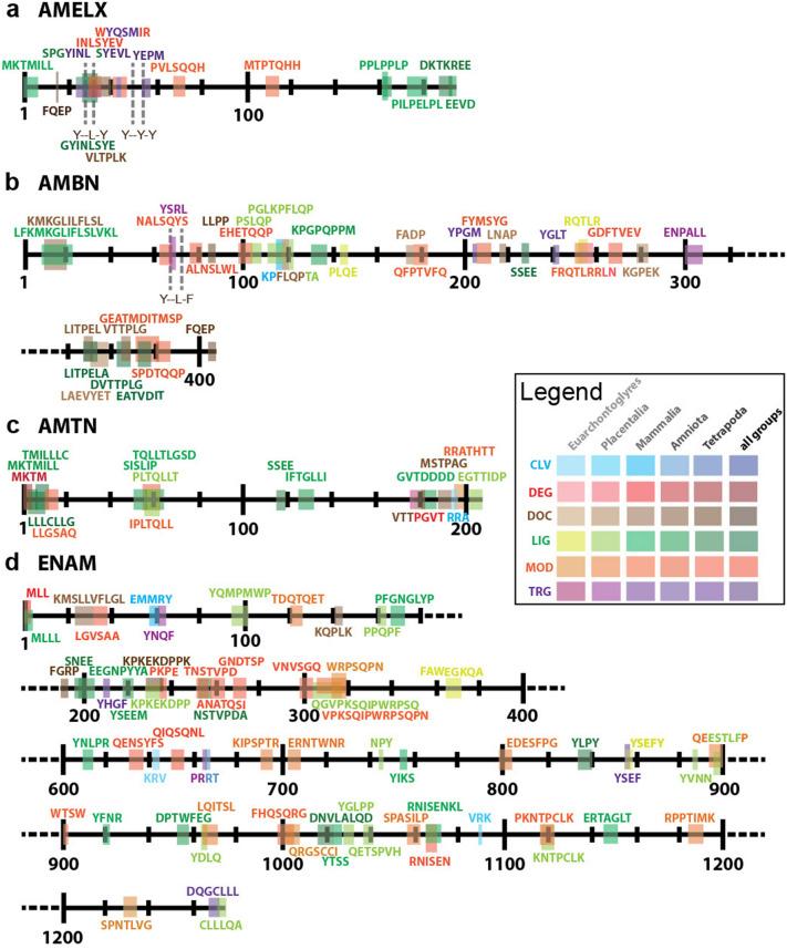 https://cdn.ncbi.nlm.nih.gov/pmc/blobs/40fc/9879986/94c3690e31d3/41598_2023_28388_Fig2_HTML.jpg