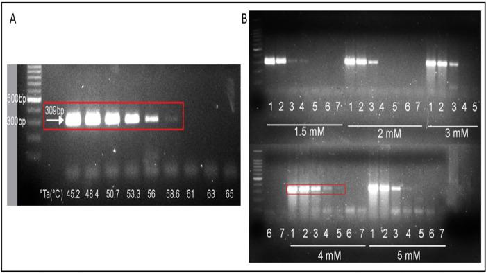 https://cdn.ncbi.nlm.nih.gov/pmc/blobs/4100/10166557/07ab3921ddcf/pone.0272980.g001.jpg