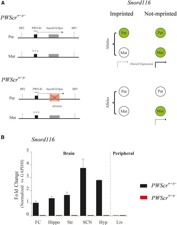 https://cdn.ncbi.nlm.nih.gov/pmc/blobs/4100/5105846/c3cf5032fee2/1129fig1.jpg