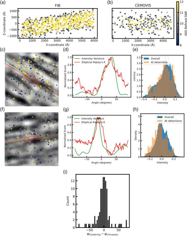 https://cdn.ncbi.nlm.nih.gov/pmc/blobs/4101/12224077/b318ca381f35/m-12-00502-fig4.jpg