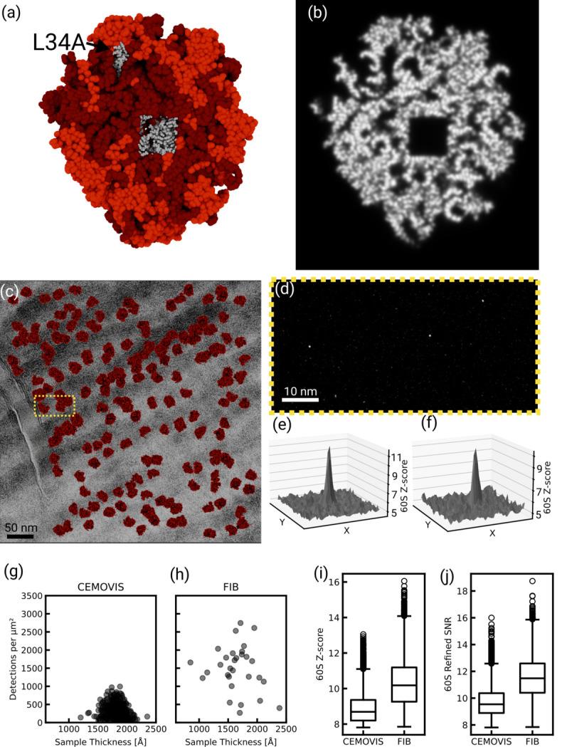 https://cdn.ncbi.nlm.nih.gov/pmc/blobs/4101/12224077/e4d3bad85ce0/m-12-00502-fig2.jpg