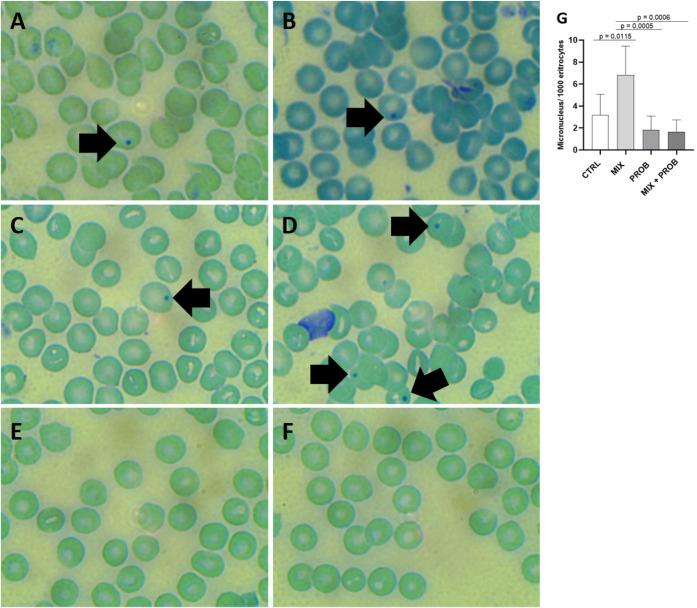 https://cdn.ncbi.nlm.nih.gov/pmc/blobs/4101/12368810/4d549d669118/ao5c04121_0006.jpg
