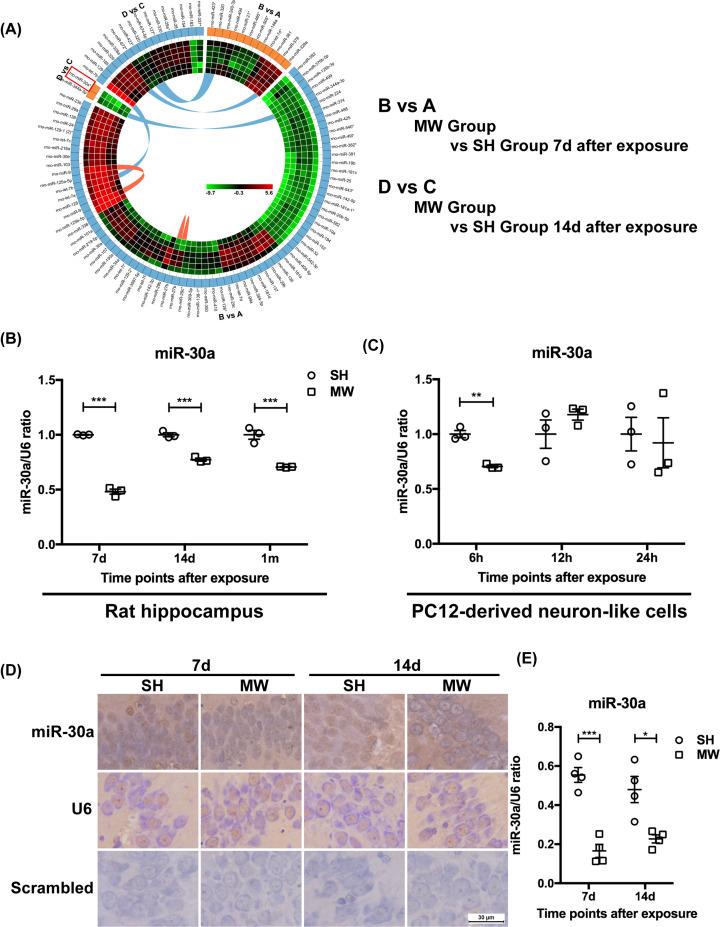 https://cdn.ncbi.nlm.nih.gov/pmc/blobs/4101/9069443/39357ef20e13/bsr-42-bsr20212584-g3.jpg