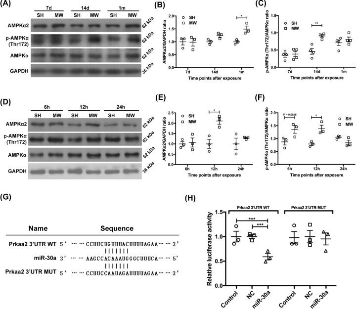 https://cdn.ncbi.nlm.nih.gov/pmc/blobs/4101/9069443/b06395450c61/bsr-42-bsr20212584-g5.jpg
