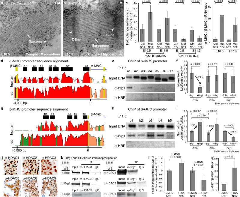 https://cdn.ncbi.nlm.nih.gov/pmc/blobs/4104/2898892/3741c468dc9a/nihms-199832-f0002.jpg