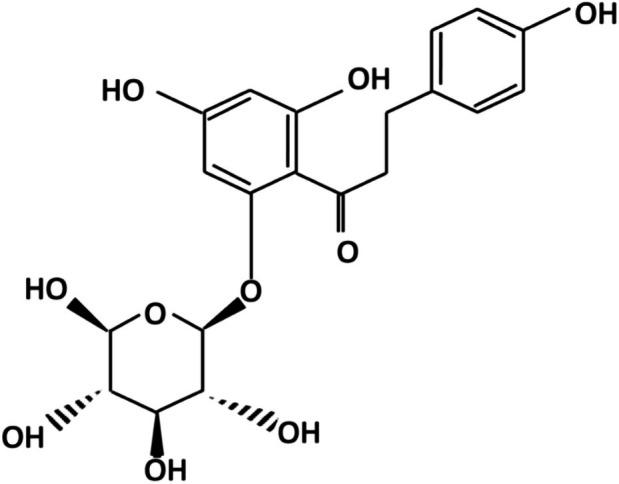 https://cdn.ncbi.nlm.nih.gov/pmc/blobs/4105/12319571/094153efd384/FSN3-13-e70744-g002.jpg