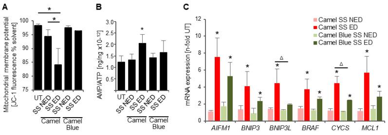 https://cdn.ncbi.nlm.nih.gov/pmc/blobs/4106/9774253/dcc57968ffcf/antioxidants-11-02474-g005.jpg