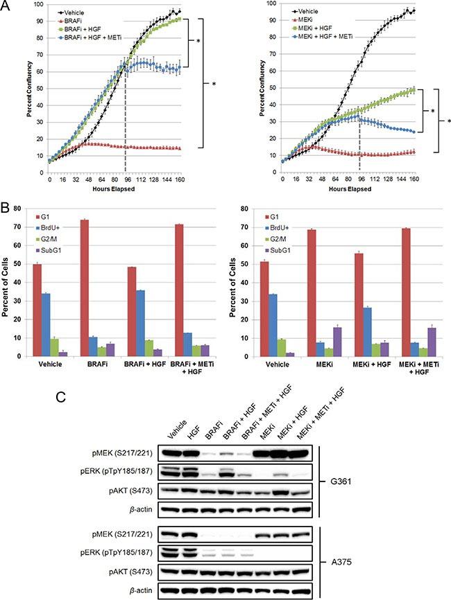 https://cdn.ncbi.nlm.nih.gov/pmc/blobs/4107/5392287/6b03d31d31d9/oncotarget-08-17795-g003.jpg