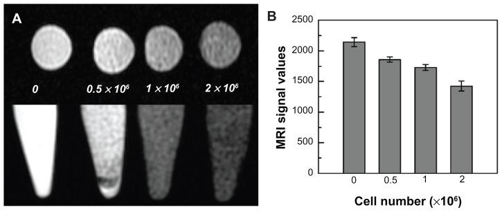 https://cdn.ncbi.nlm.nih.gov/pmc/blobs/410a/3487538/7746d155c061/ijn-7-5191f5.jpg