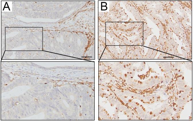 https://cdn.ncbi.nlm.nih.gov/pmc/blobs/410a/6199287/c9870d76b300/41598_2018_33927_Fig2_HTML.jpg