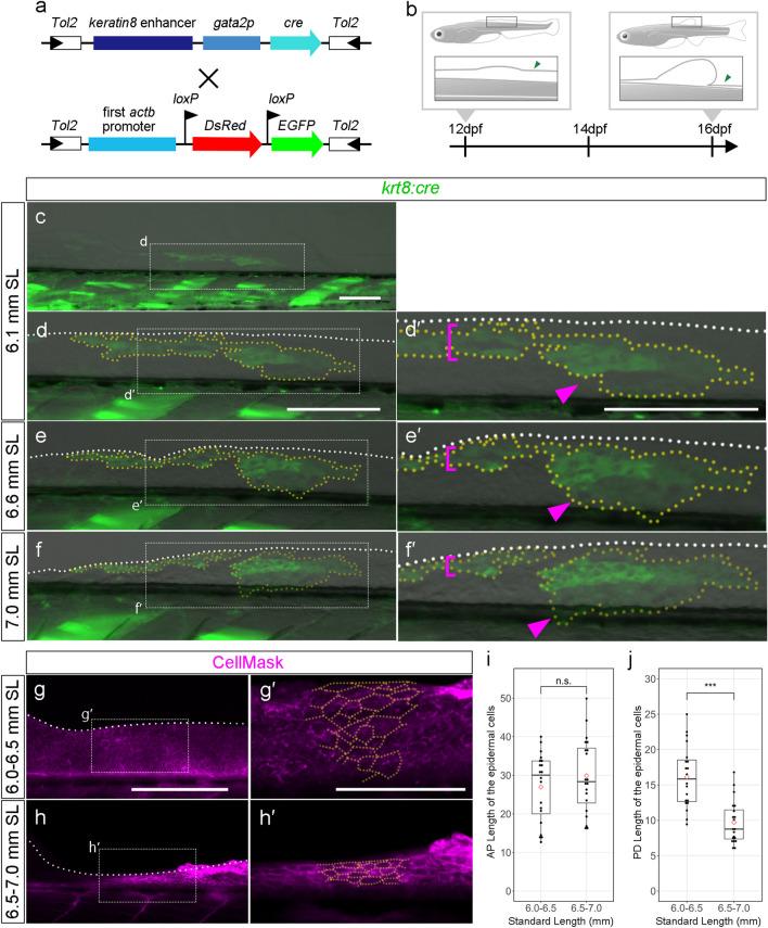 https://cdn.ncbi.nlm.nih.gov/pmc/blobs/410a/9079066/0480f2618126/41598_2022_11180_Fig3_HTML.jpg