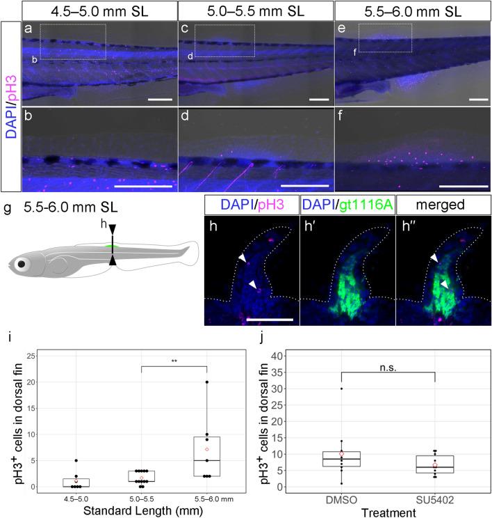 https://cdn.ncbi.nlm.nih.gov/pmc/blobs/410a/9079066/1cb33a7e33a0/41598_2022_11180_Fig5_HTML.jpg