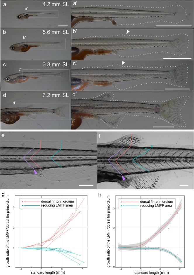 https://cdn.ncbi.nlm.nih.gov/pmc/blobs/410a/9079066/663d690d9a67/41598_2022_11180_Fig1_HTML.jpg