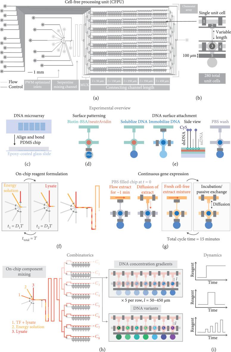 https://cdn.ncbi.nlm.nih.gov/pmc/blobs/410c/10521719/587642fb82ba/2968181.fig.001.jpg