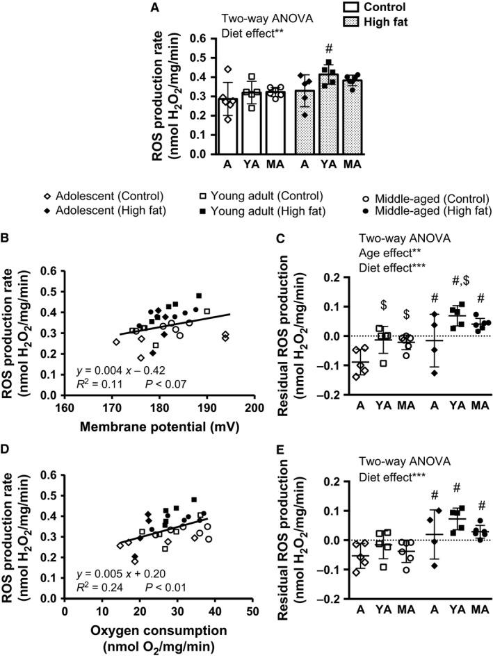 https://cdn.ncbi.nlm.nih.gov/pmc/blobs/410c/5064140/581fb21b3e8b/PHY2-4-e12988-g002.jpg