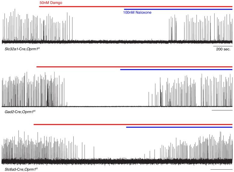 https://cdn.ncbi.nlm.nih.gov/pmc/blobs/410e/7077984/2d74ba294537/elife-52694-fig4-figsupp2.jpg