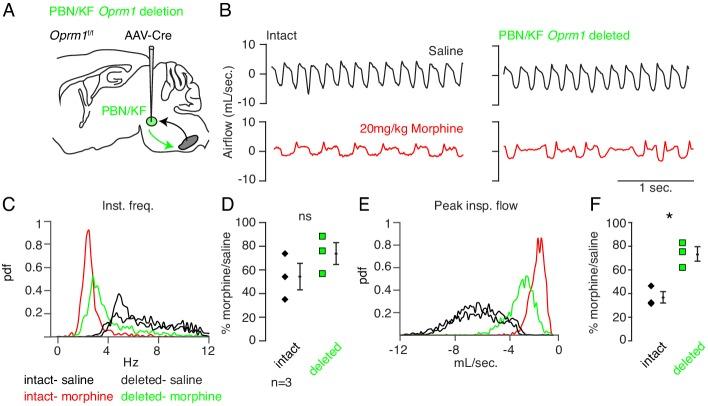 https://cdn.ncbi.nlm.nih.gov/pmc/blobs/410e/7077984/72948a3ddd8b/elife-52694-fig3-figsupp2.jpg