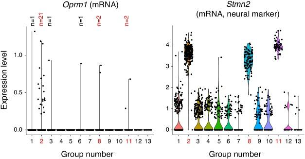 https://cdn.ncbi.nlm.nih.gov/pmc/blobs/410e/7077984/851cd49e3cd3/elife-52694-fig4-figsupp1.jpg