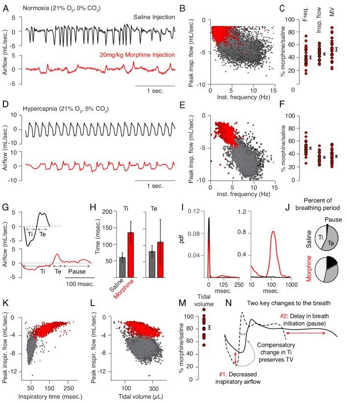 https://cdn.ncbi.nlm.nih.gov/pmc/blobs/410e/7077984/8a19249ea58d/elife-52694-fig1.jpg