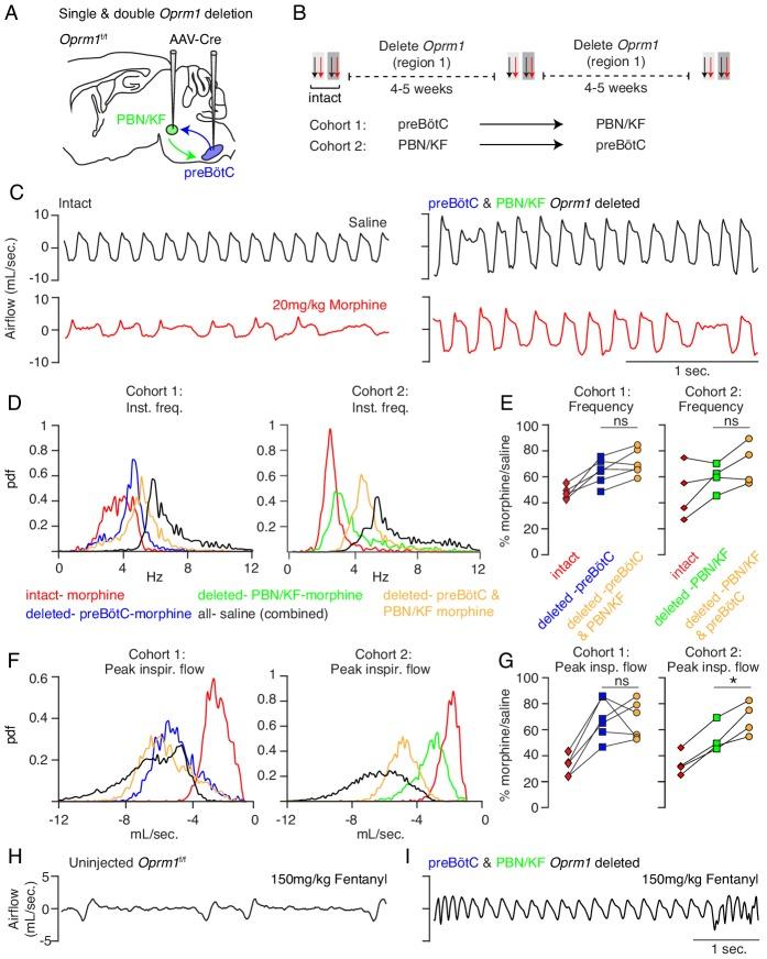 https://cdn.ncbi.nlm.nih.gov/pmc/blobs/410e/7077984/d0212880b118/elife-52694-fig3.jpg