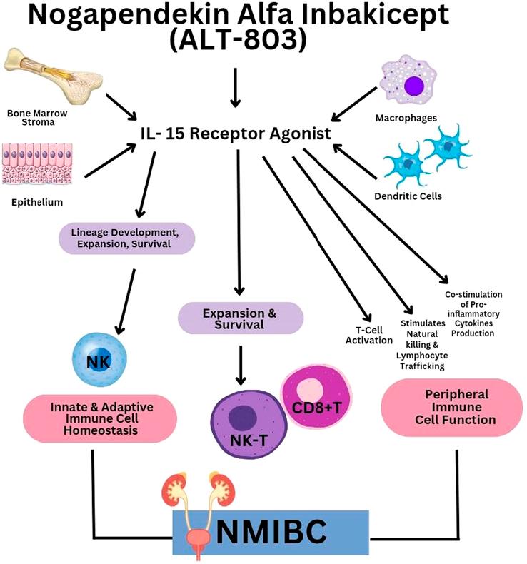 https://cdn.ncbi.nlm.nih.gov/pmc/blobs/4111/11543176/cfeea4ca8f3f/ms9-86-6386-g001.jpg