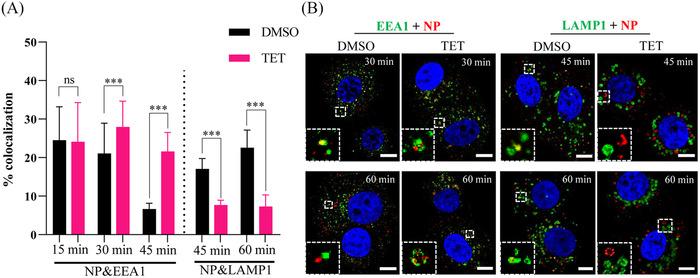 https://cdn.ncbi.nlm.nih.gov/pmc/blobs/4112/9851407/4dad0c0b2cd6/MCO2-4-e206-g003.jpg