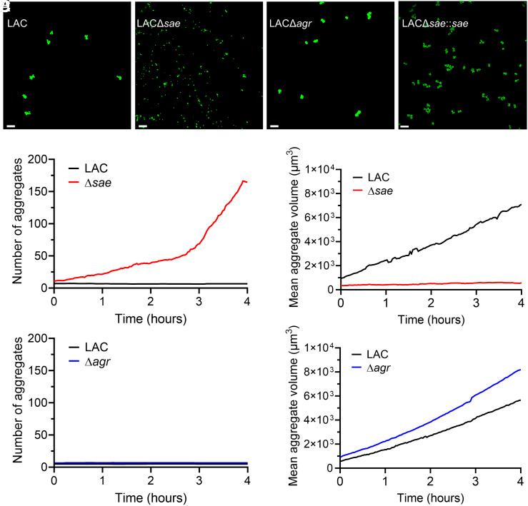 https://cdn.ncbi.nlm.nih.gov/pmc/blobs/4114/12107147/07d4c7b7b9b3/pnas.2412447122fig02.jpg