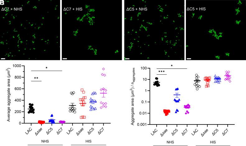 https://cdn.ncbi.nlm.nih.gov/pmc/blobs/4114/12107147/09cc649ef913/pnas.2412447122fig06.jpg